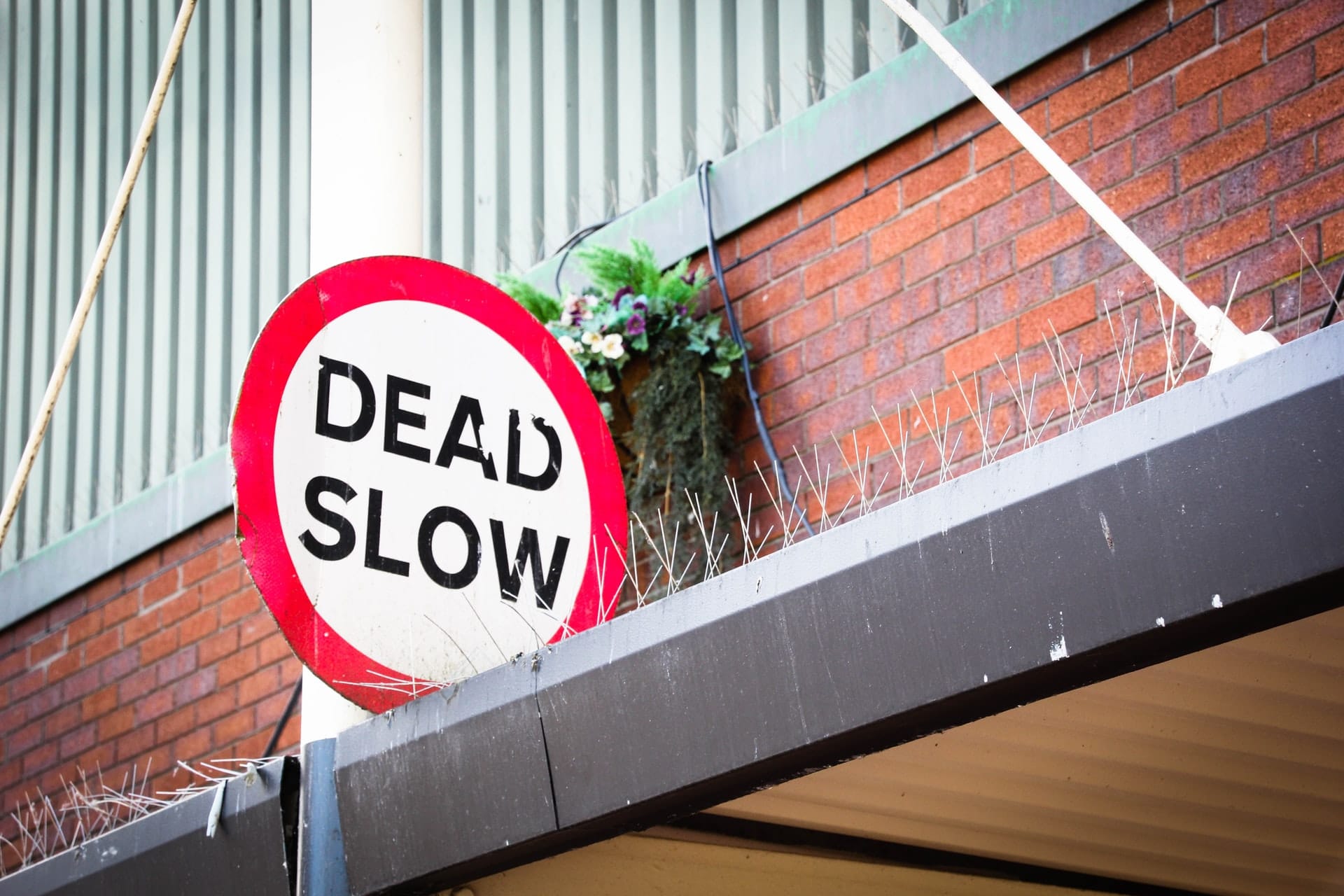 A traffic sign reading "DEAD SLOW