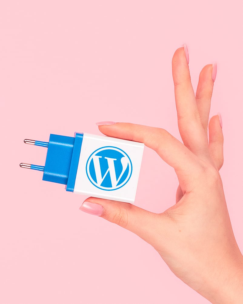A hand holding a plug with the Wordpress logo on it