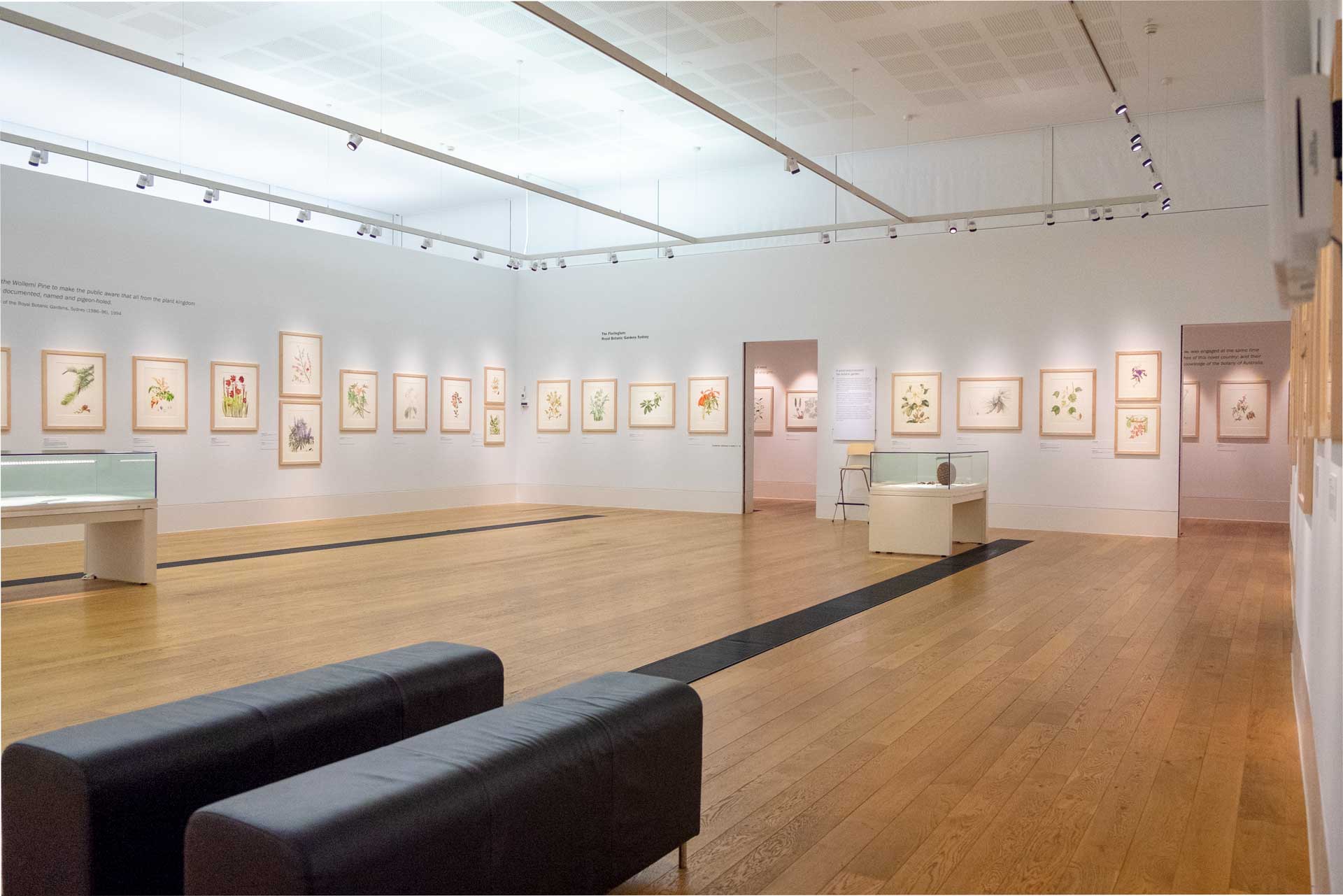 The interior of the Shirley Sherwood Gallery in Kew Gardens